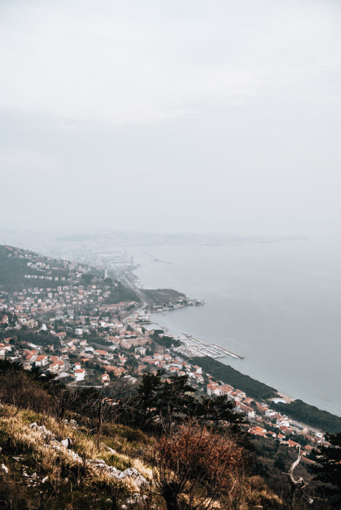 View Trieste