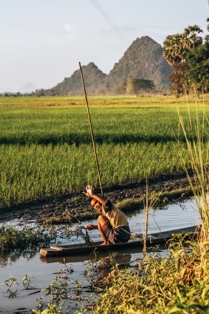 Rice fields Hpa An