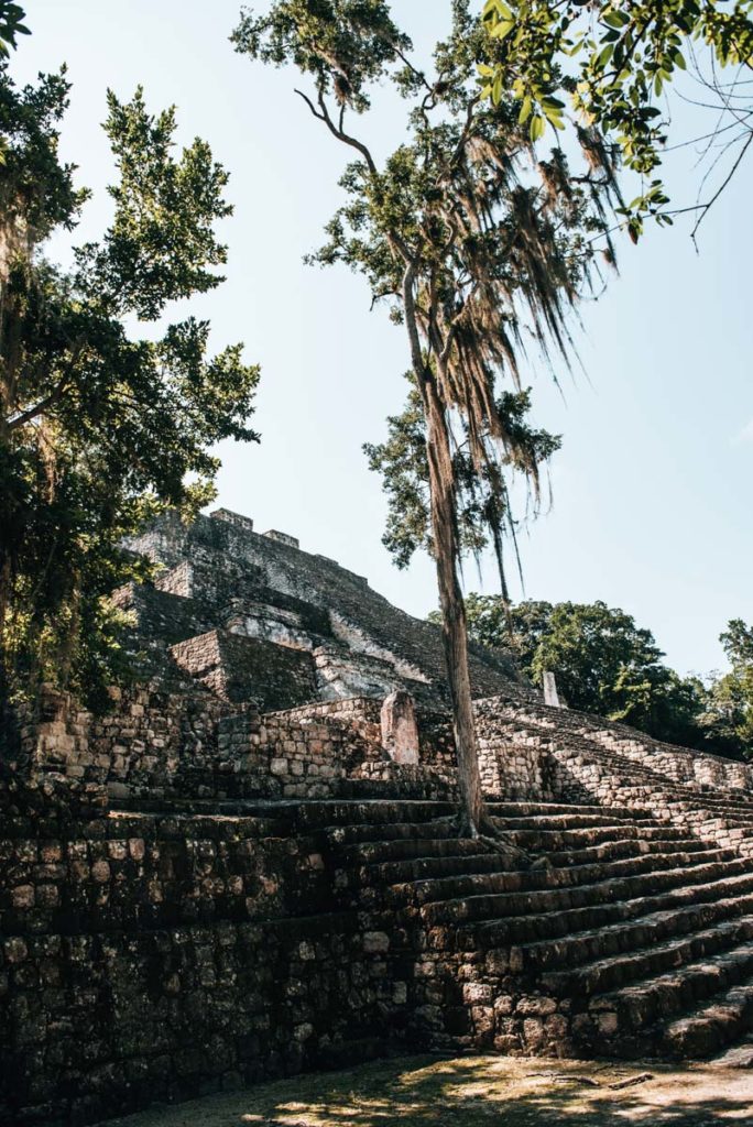 Calakmul Estructura