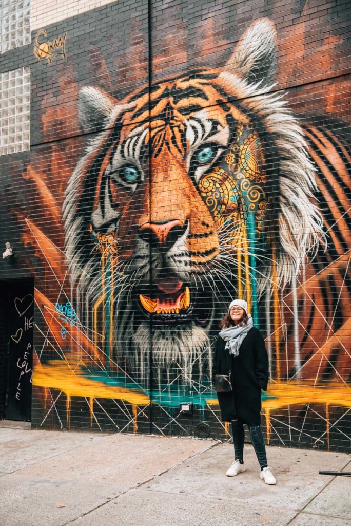 New York Tiger Street Art Mural