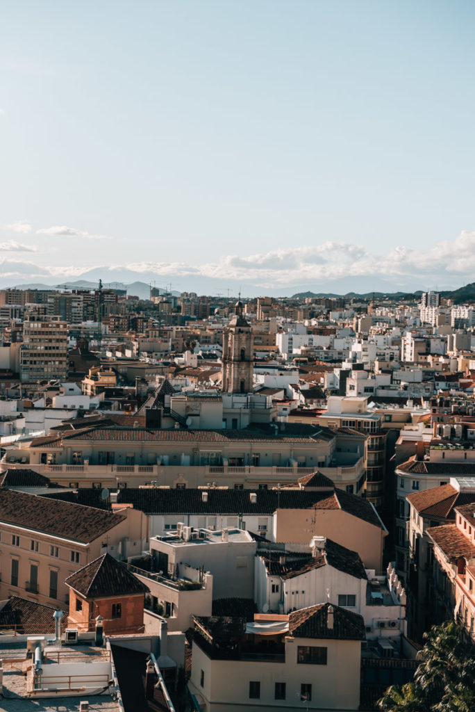 Malaga Cathedral View