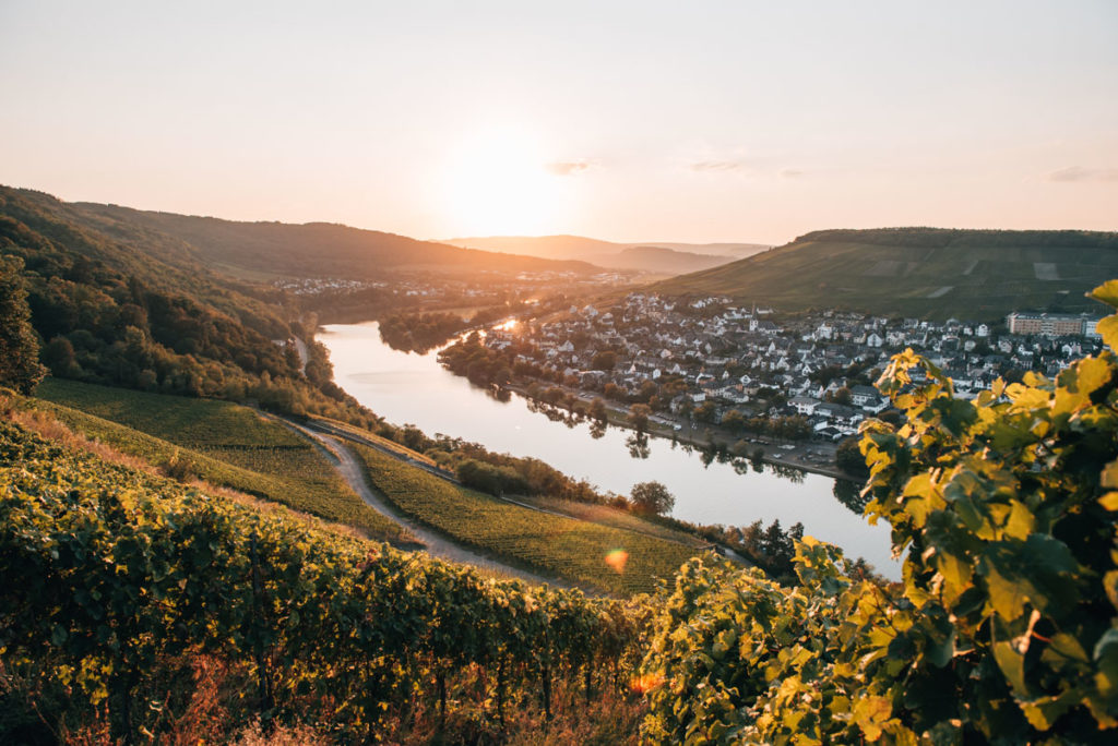 Mosel Tipps