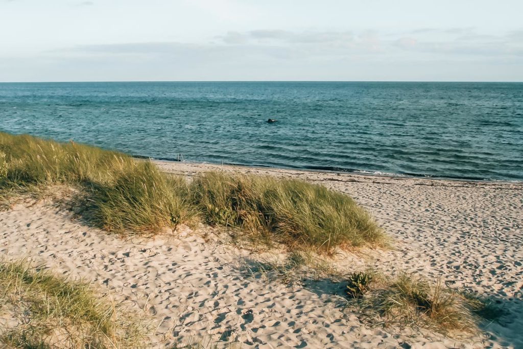 Copenhagen Beach