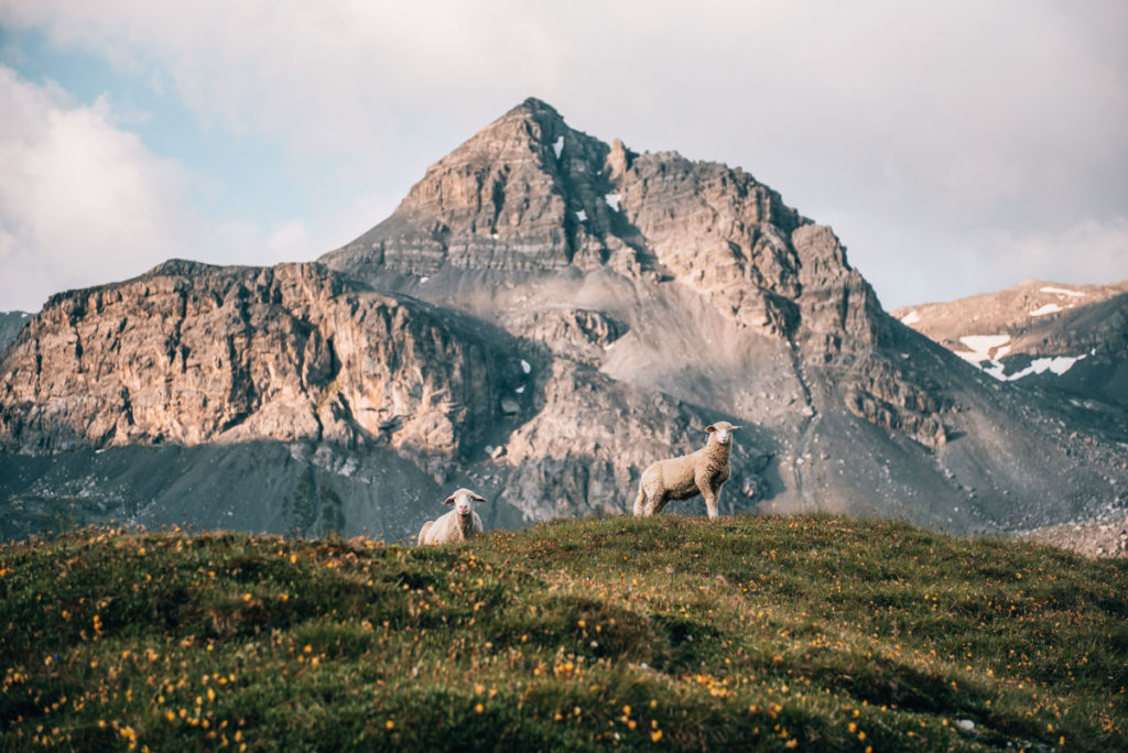 Münstertal Schweiz