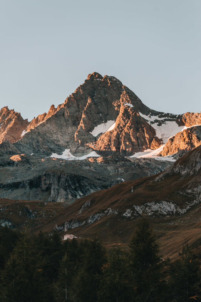 Wildtierbeobachtung Grossglockner