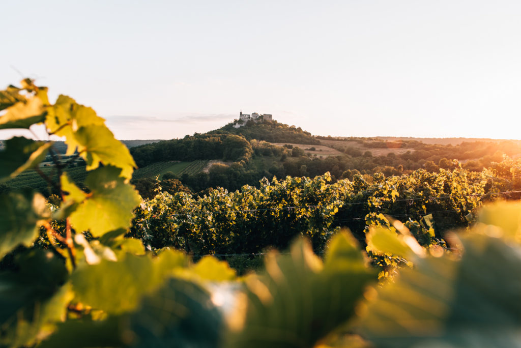 Weinviertel Falkenstein