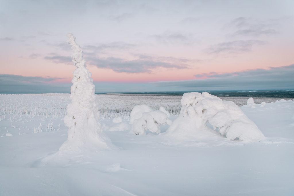 Riisitunturi National Park