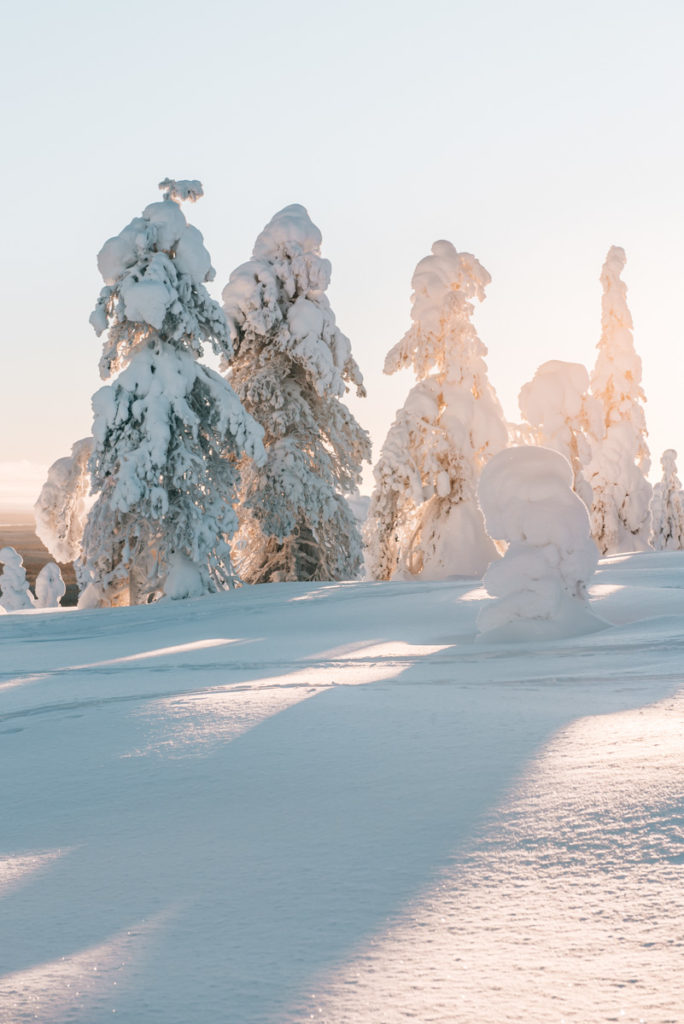 Lappland Finnland Reisetipps