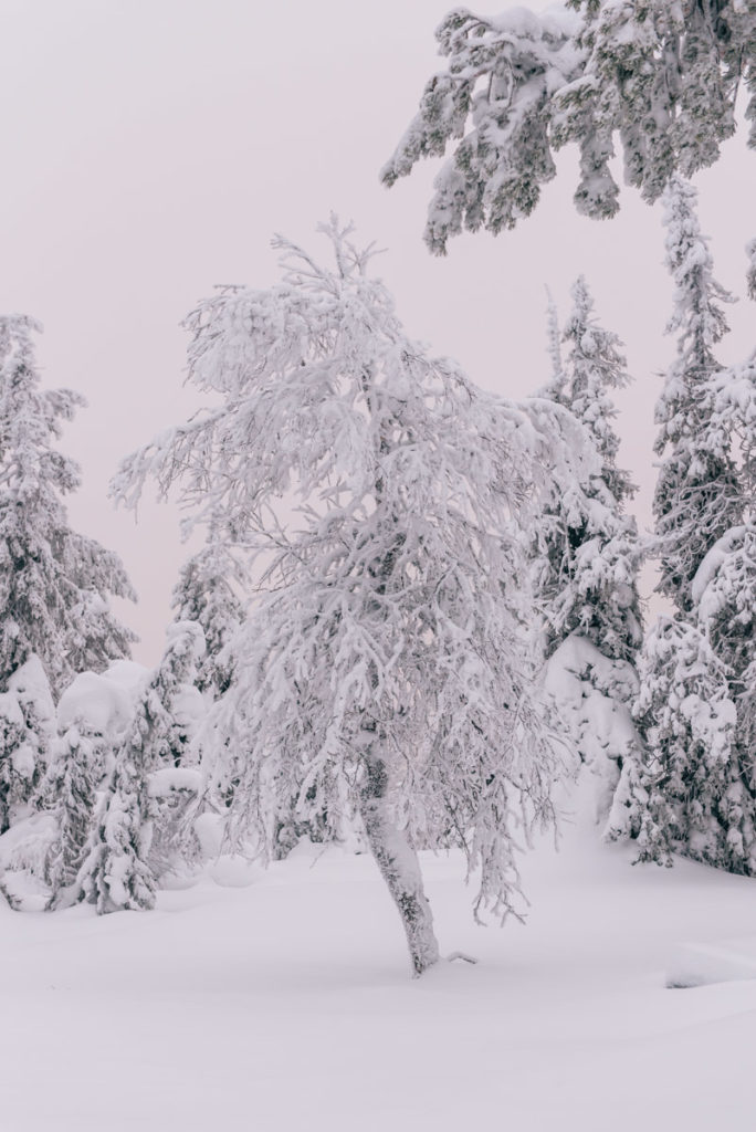 Lappland Sehenswürdigkeiten