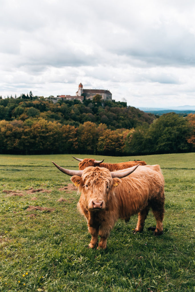 Südburgenland Tipps Sehenswürdigkeiten