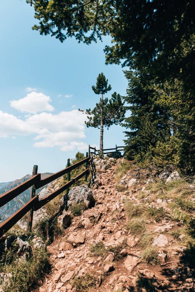 Durmitor Curevac