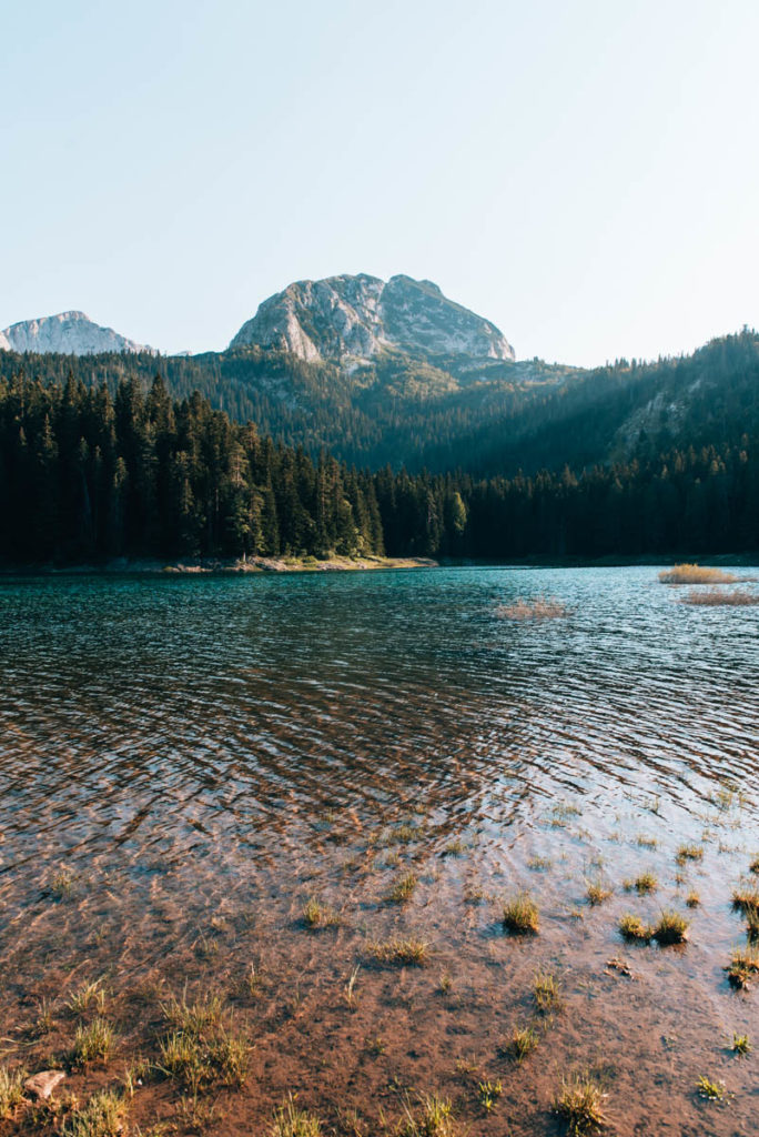 Durmitor Nationalpark Schwimmen